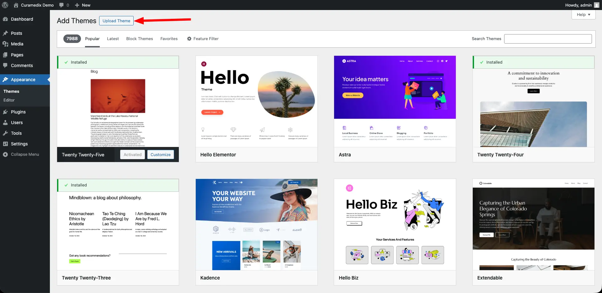 Screenshot of curamedix theme installation